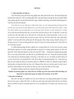 Nghiên cứu phương pháp von ampe hòa tan với điện cực paste nanocacbon biến tính bằng oxit bitmut để xác định hàm lượng vết cadimi (cd), indi (in) và chì (pb) (TT)