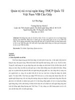 Quản trị rủi ro tại ngân hàng TMCP quốc tế việt nam VIB cầu giấy