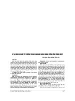 U tạo máu NGOÀI tủy XƯƠNG TRONG KHOANG NGOÀI MÀNG CỨNG ỐNG SỐNG NGỰC