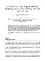 Phát triển dịch vụ ngân hàng bán lẻ tại ngân hàng nông nghiệp và phát triển nông thôn – chi nhánh gia lâm