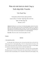 Phân tích tình hình tài chính công ty xuất nhập khẩu vinashin 