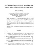 Phát triển nguồn lực con người trong sự nghiệp công nghiệp hoá, hiện đại hoá ở tỉnh vĩnh phúc 