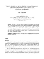 Nghiên cứu hình thái học vật liệu, linh kiện nanô bằng công nghệ ảnh nổi 3d trên kính hiển vi điện tử quét ( 3d stereo sem imaging) 