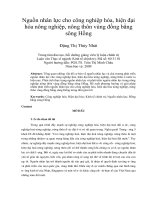 Nguồn nhân lực cho công nghiệp hóa, hiện đại hóa nông nghiệp, nông thôn vùng đồng bằng sông hồng 