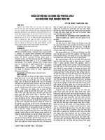 KHẢO sát mô học tác DỤNG của PORITES LUTEA SAU NHỔ RĂNG THỰC NGHIỆM TRÊN THỎ