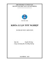 Hoàn thiện tổ chức công tác kế toán doanh thu, chi phí và xác định kết quả kinh doanh tại công ty trách nhiệm hữu hạn thương mại và dịch vụ thiết bị điện thanh linh 