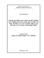 Đánh giá hiệu quả một số hệ thống cây trồng luân canh, xen canh cây đậu tương và cây lương thực tại huyện tuần giáo, tỉnh điện biên