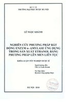 Nhiên cứu phương pháp bất động enzym alpha   amylase ứng dụng trong sản xuất ethanol bằng phương pháp lên men liên tục