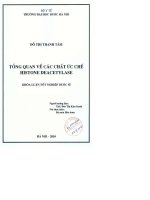 Tổng quan về các chất ức chế histon deacetylase