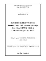 Hạn chế rủi ro tín dụng trong cho vay doanh nghiệp tại ngân hàng việt á   chi nhánh quảng ngãi