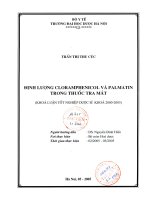 Định lượng cloramphenicol và palmatin trong thuốc tra mắt