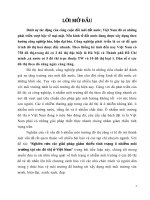 Nghiên cứu các giải pháp giảm thiểu tình trạng ô nhiễm môi trường tại các đô thị ở việt nam