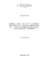 Nghiên cứu ảnh hưởng của một số giải pháp kỹ thuật lên chất lượng trứng, ấu trùng và hiệu quả ương giống cá chim Vây vàng (Trachinotus blochii Lacepède, 1801) tại tỉnh Khánh Hòa