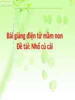 Bài giảng điện tử mầm non đề tài Nhổ củ cải