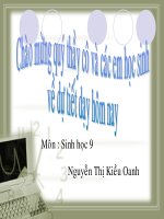 Bài giảng sinh học lớp 9 tham khảo tiết 3 lai một cặp tính trạng TT (11) 