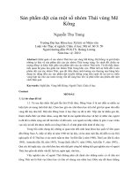 Sản phẩm dệt của một số nhóm thái vùng mê kông 