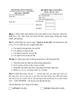 ĐỀ KIỂM TRA vào lớp 6 môn TIẾNG VIỆT đề 4