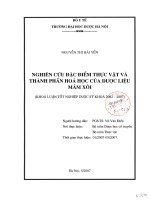 Nghiên cứu đặc điểm thực vật và thành phần hóa học của dược liệu mâm xôi