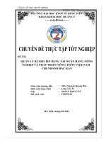 Quản lý rủi ro tín dụng tại Ngân hàng nông nghiệp và phát triển nông thôn Việt Nam – Chi nhánh Bắc Kạn