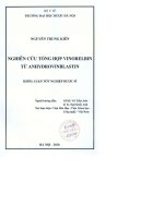 Nghiên cứu tổng hợp vinorelbin từ anhydrovinblastin