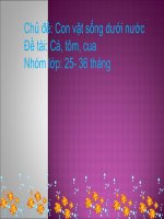 Bé làm quen với cá, tôm, cua 