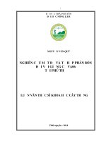 Nghiên cứu mật độ và tổ hợp phân bón đối với giống cỏ VA06 tại phú thọ