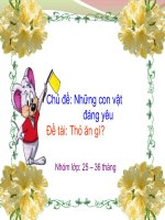Giáo án thỏ con ăn gì 