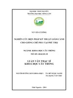 Nghiên cứu biện pháp kỹ thuật giâm cành cho giống chè PH11 tại phú thọ