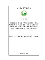 Nghiên cứu khả năng sinh trưởng, năng suất và chất lượng của một số dòng, giống cà chua trồng trong nhà có mái che tại thái nguyên