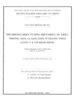 Mô phỏng hiện tượng biến đổi cấu trúc trong Al2O3 và Al2O3.2SiO2 ở trạng thái lỏng và vô định hình