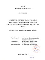 Sơ bộ đánh giá thực trạng và những khó khăn của ngành dược việt nam khi gia nhập tổ chức thương mại thế giới WTO