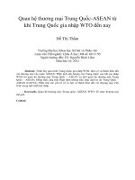 Quan hệ thương mại trung quốc ASEAN từ khi trung quốc gia nhập WTO đến nay 
