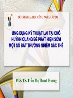 Ứng dụng kỹ thuật lai tại chỗ huỳnh quang để phát hiện sớm một số bất thường nhiễm sắc thể   PGS TS  trần thị thanh hương