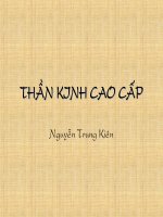 Bài giảng sinh lý thần kinh cao cấp (PGs  ts  nguyễn trung kiên) 