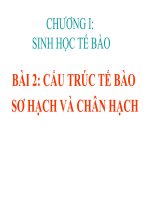 Bài giảng sinh học di truyền chương 1   sinh học tế bào 