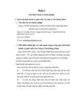 Báo cáo thực tập kế toán tại công ty tân hoàng minh