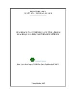 Đề án phát triển thiết chế văn hóa, bảo tồn và phát huy bản sắc văn hóa các dân tộc Lào Cai giai đoạn 20112015