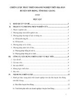 chiến lược phát triển các doanh nghiệp trên địa bàn huyện sơn động