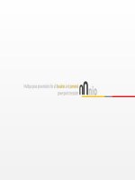 Mẫu Powerpoint chuyên nghiệp cực đẹp để làm Inforgraphic - Minio 3