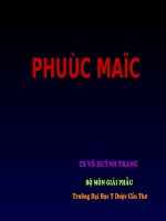 Bài giảng phúc mạc (ts  bs  võ huỳnh trang) 
