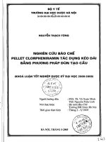 Nghiên cứu bào chế pellet clorpheniramin tác dụng kéo dài bằng phương pháp đùn tạo cầu