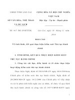 Báo cáo về tình hình, kết quả thực hiện kiểm soát Thủ tục hành chính