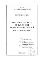 Nghiên cứu nuôi cấy tế bào cố định trong điều kiện hiếu khí