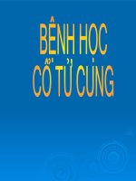 Bài giảng GPB bệnh học cổ tử cung 
