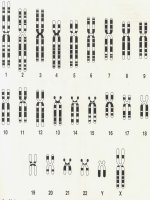Bài giảng di truyền thực tập 