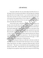 Đầu tư trực tiếp của hoa kỳ vào việt nam   thực trạng và giải pháp 