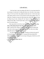 Thị trường lao động nông thôn và biện pháp giải quyết việc làm ở VIỆT NAM giai đoạn 2010 2015