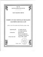 Nghiên cứu bào chế pellet diltiazem giải phóng kéo dài 12 giờ