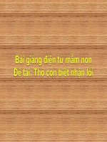 Bài giảng điện tử mầm non lớp Chồi đề tài Làm quen văn học Thỏ con biết nhận lỗi