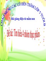 Bài giảng điện tử mầm non lớp Chồi đề tài Tìm hiểu 4 nhóm thực phẩm